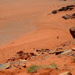 Our final stop at Wadi Rum was a large outcropping, bordered by a huge red sand dune. We scrambled up the rocks, rather than slog up and down in the sand.   For you movie buffs, you may recognize the red sand dune as the setting from the 2015 release of “The Martian,” which starred Matt Damon. | Photo taken by Rich W