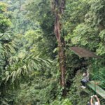 Photo taken by Kiko S