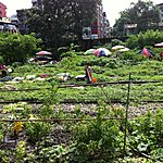 Drying the washing by the tracks | Photo taken by Rodney S