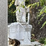 Photo taken by Michael E