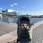 Photo taken by Krissy S