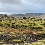 Photo taken by Laurence C