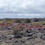 Photo taken by Jennifer A