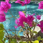 Photo taken by Dixie W