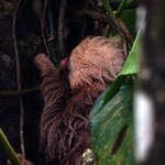 Photo taken by Kelly C