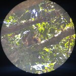 Photo taken by Bonnie Y