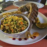 Photo taken by Touraj K