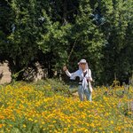 Photo taken by Jen F