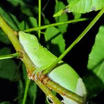 Photo taken by Tenley G