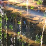 Photo taken by Maggie W