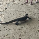 Photo taken by Kim B