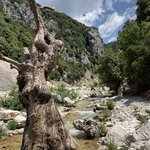 Photo taken by JoAnne C