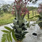 Photo taken by JULIE M