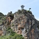 Photo taken by SARMA M