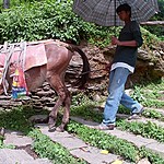 Great people | Photo taken by marcus w