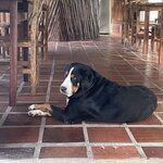 Photo taken by Mick K