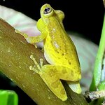 Photo taken by Ben B