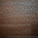 Photo taken by Caroline K