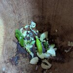 Photo taken by Edwin C