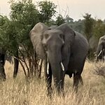 Photo taken by rhonda c