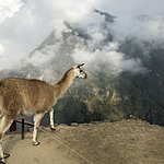 Photo taken by Katie H