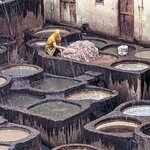 Photo taken by Cynthia D