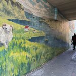 Photo taken by Diane L