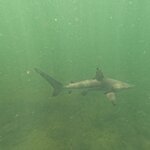 Photo taken by Sharon J