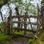 Photo taken by Jeffrey B