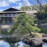 Photo taken by Norma M