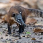 Photo taken by Matt W