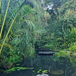 Photo taken by Sabiha K