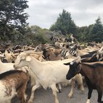 Photo taken by Shawn G