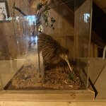 Photo taken by Greg L