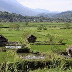 Photo taken by Steve W