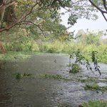 Photo taken by Graeme W