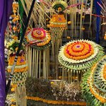 Photo taken by Kim G