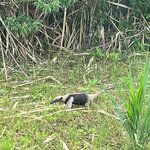 Photo taken by Sushma S