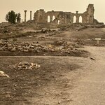 Photo taken by Betsy V