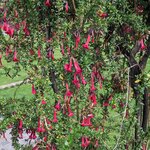 Photo taken by Tara T