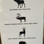 Photo taken by Janice W