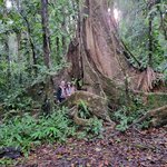 Photo taken by Jeff G