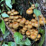 Photo taken by Hannah S