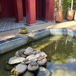 Photo taken by Grace S