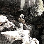 Photo taken by Meggan M