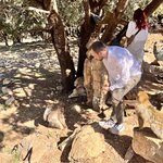 Photo taken by Vivianh H