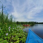 Photo taken by Camille S