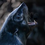 Photo taken by mindy n