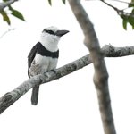 Photo taken by Graeme W