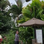 Photo taken by Garritt V